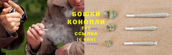 гашик Богородск
