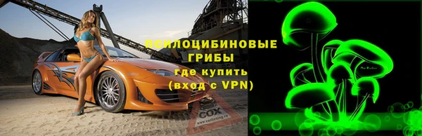 гашик Богородск