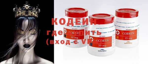 дмт Богданович