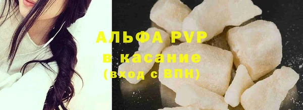 PSILOCYBIN Бородино