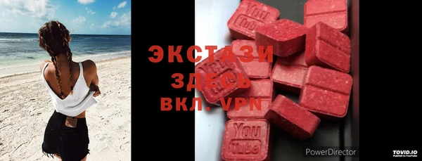 PSILOCYBIN Бородино