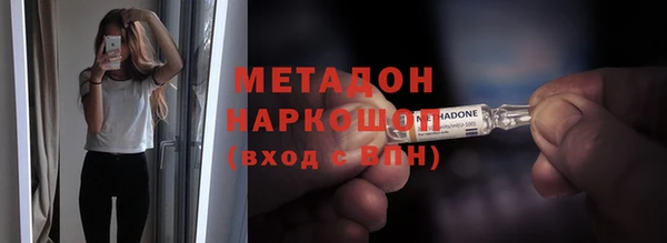 дмт Богданович