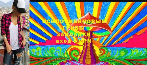 гашик Богородск