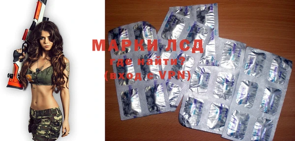 дмт Богданович