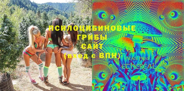 шишки Зеленодольск