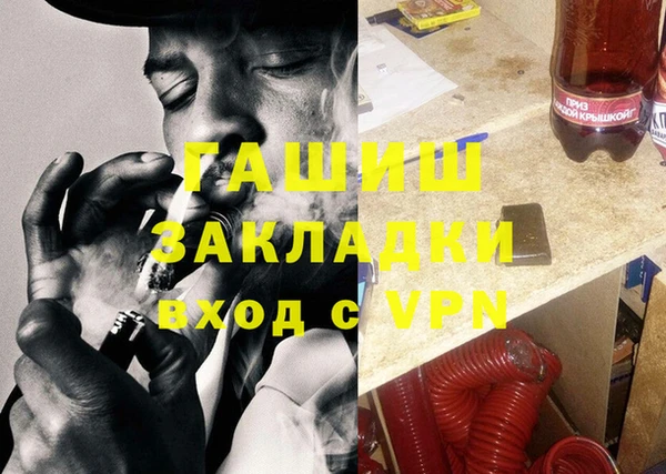 дмт Богданович