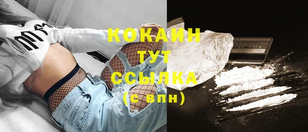 дмт Богданович