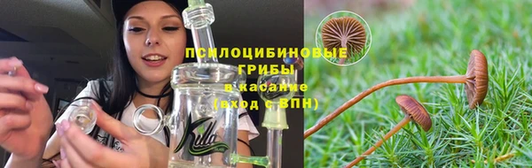 дмт Богданович